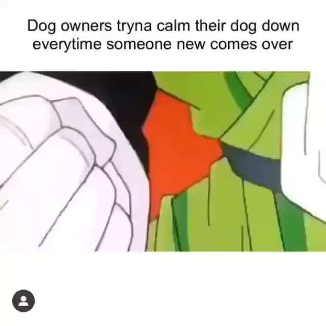 Hunde Memes-Beitrag-Bild