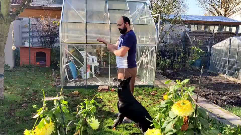 Früh übt sich-Beitrag-Bild