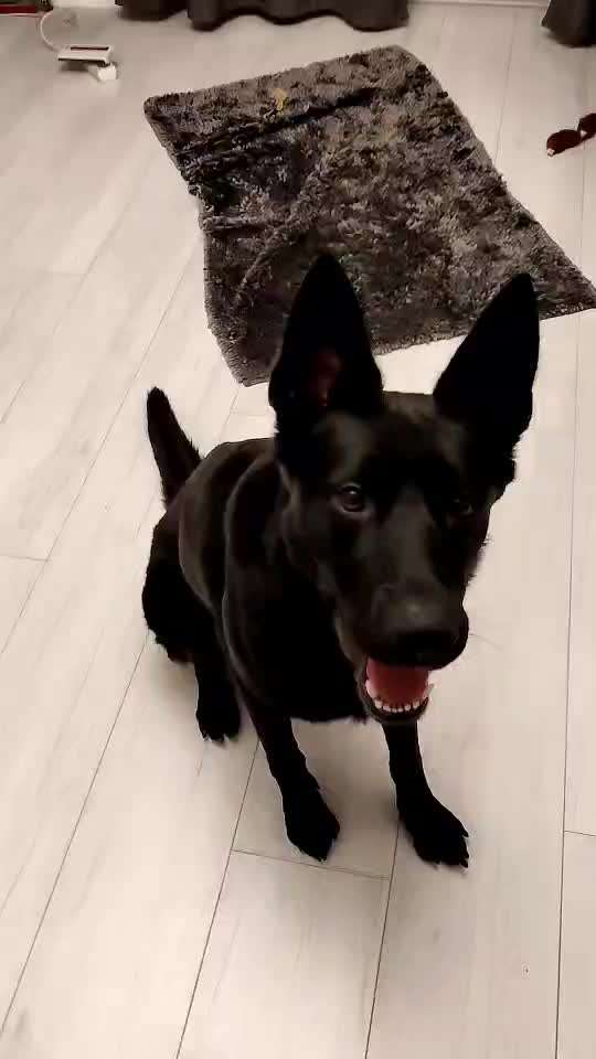 𝕋ℝ𝕀ℂ𝕂 ℂℍ𝔸𝕃𝕃𝔼ℕ𝔾𝔼 ℕℝ. 𝟙-Beitrag-Bild