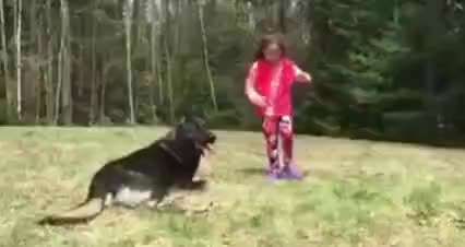 Familienschutzhund Ausbildung-Beitrag-Bild