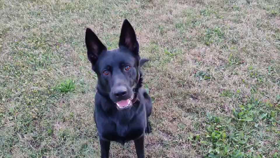 Ein Finger challenge-Beitrag-Bild