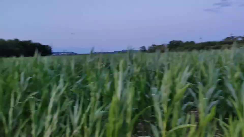 Ein Finger challenge-Beitrag-Bild