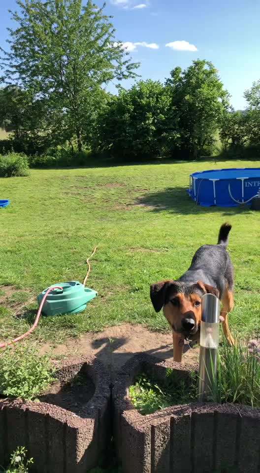 Spieltrieb ;)-Beitrag-Bild