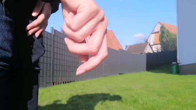 Wie bringe ich meinem Hund das Ballspielen bei?-Beitrag-Bild