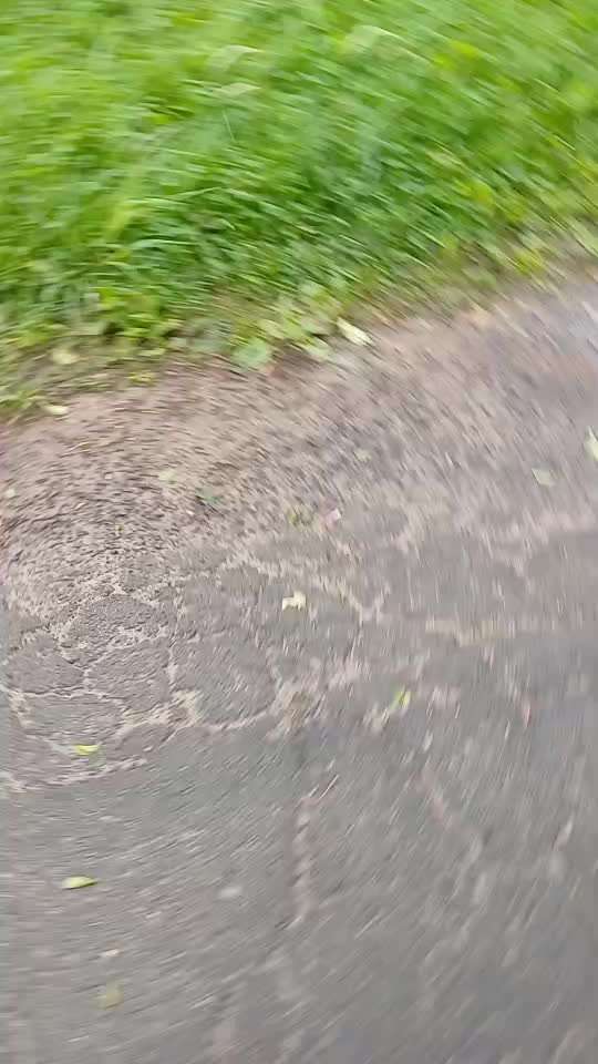 53. Impulskontroll übung- Bewegungsreize-Beitrag-Bild