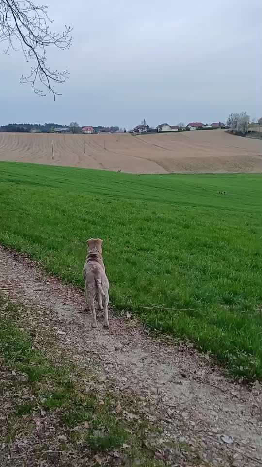 "Wege zur Freundschaft" (Ulli Reichmann)-Beitrag-Bild