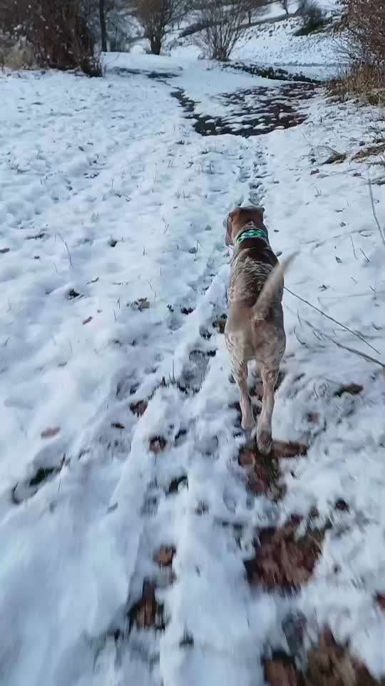 Nr. 64 Selbstständig warten zum Einleinen-Beitrag-Bild