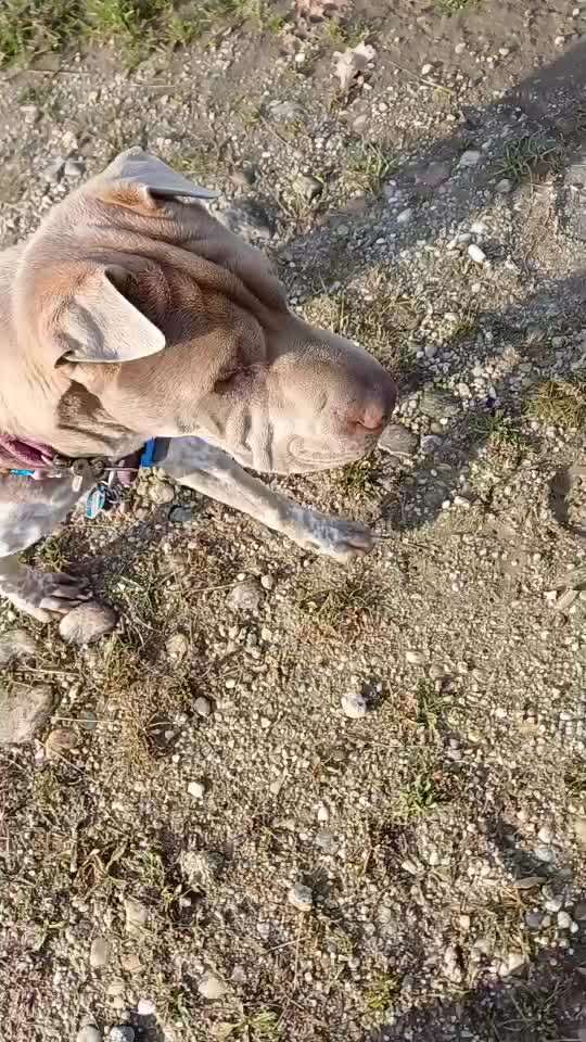 Impuls Training Nr.63-Beitrag-Bild