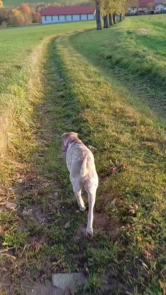 "Wege zur Freundschaft" (Ulli Reichmann)-Beitrag-Bild