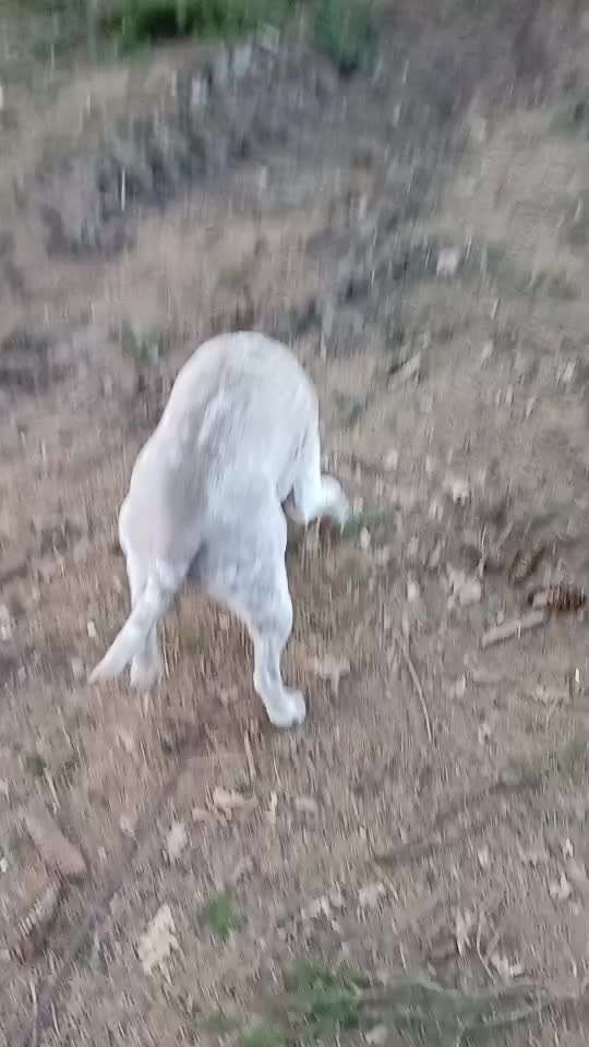 "Wege zur Freundschaft" (Ulli Reichmann)-Beitrag-Bild