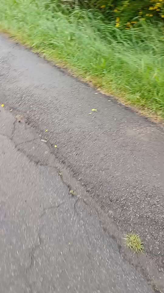 53. Impulskontroll übung- Bewegungsreize-Beitrag-Bild