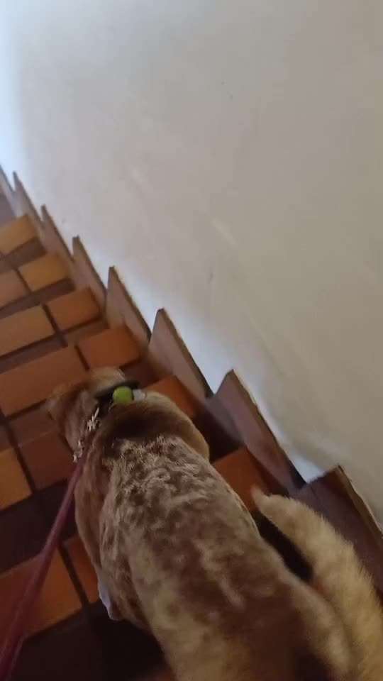56. Impulskontrollchallenge : Ich warte auf dich !-Beitrag-Bild