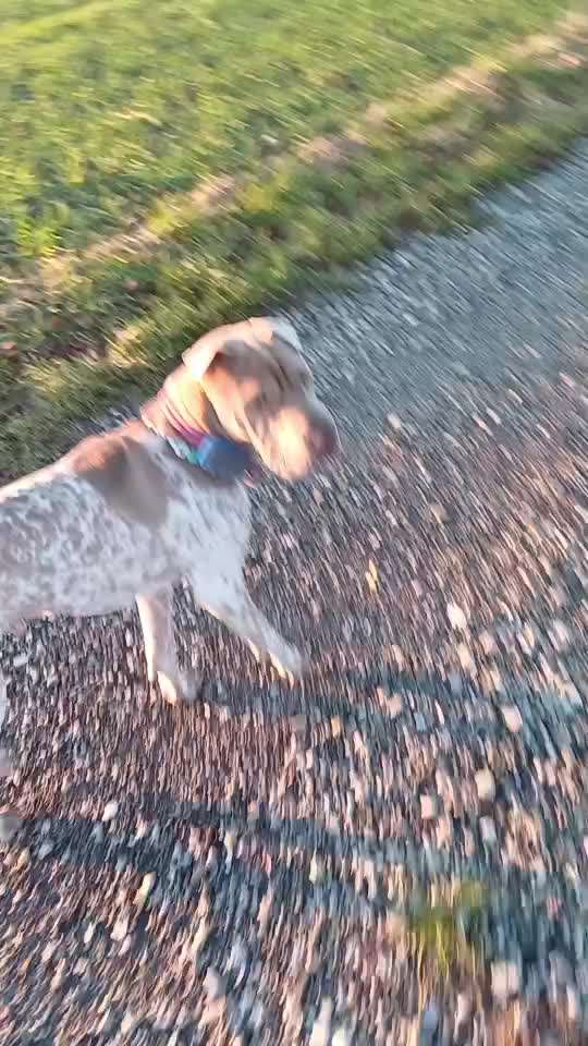 "Wege zur Freundschaft" (Ulli Reichmann)-Beitrag-Bild