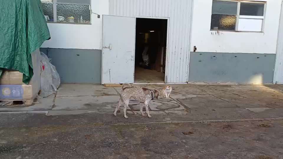 "Wege zur Freundschaft" (Ulli Reichmann)-Beitrag-Bild