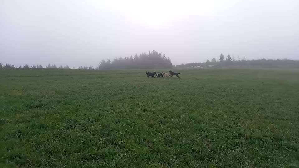 Was hat euch heute gefreut?-Beitrag-Bild