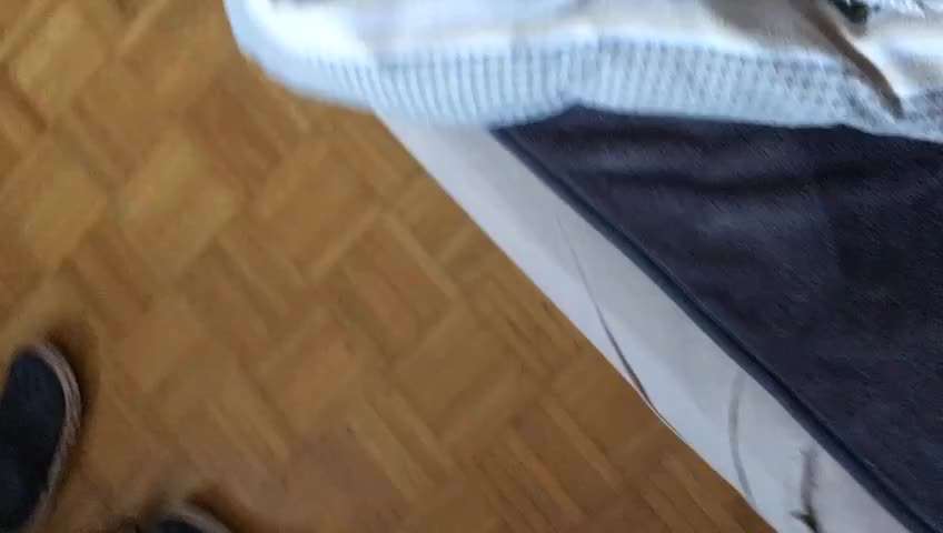 Tierschutzhunde suchen ein Zuhause-Beitrag-Bild