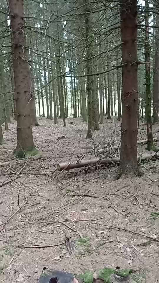 "Wege zur Freundschaft" (Ulli Reichmann)-Beitrag-Bild