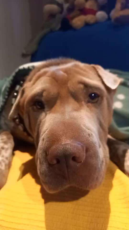 44. Impulskontrolle Callenge: ,,Essen ins Gesicht legen"-Beitrag-Bild