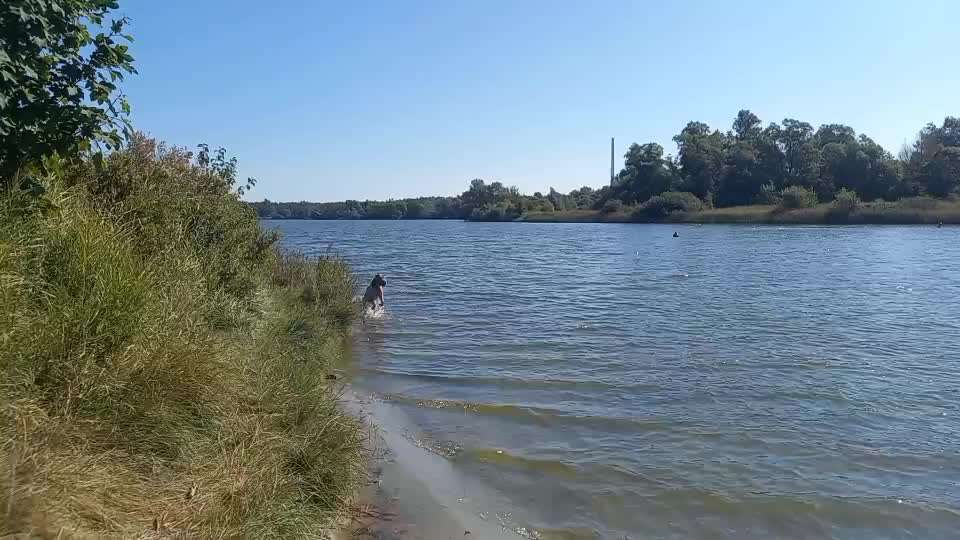 50. Video Challenge - Wasserscheu oder nicht-Beitrag-Bild