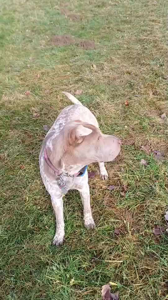 82. Trickspiel : Bleib!-Beitrag-Bild