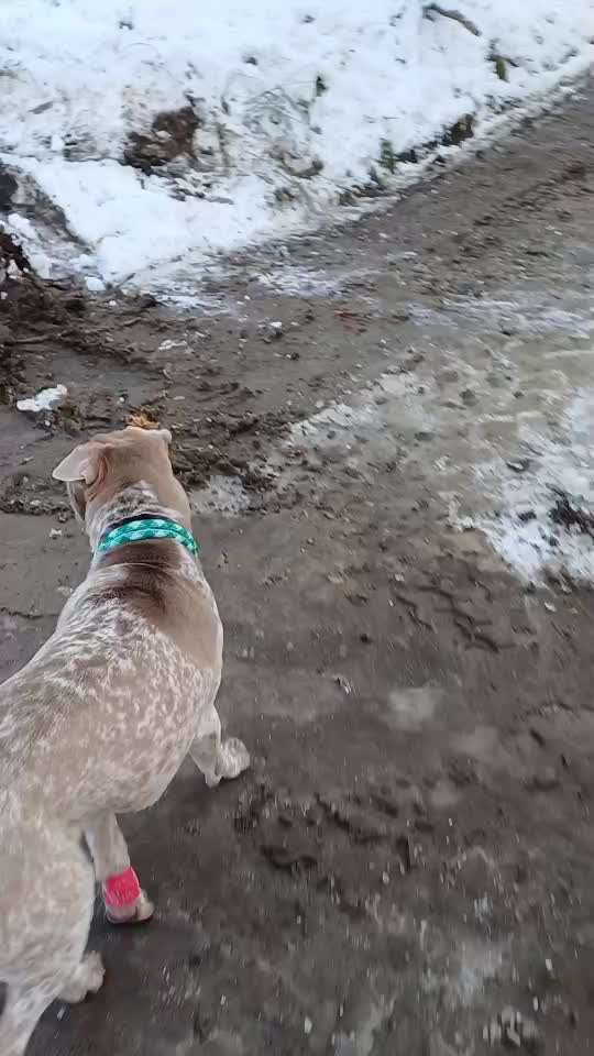 Nr. 64 Selbstständig warten zum Einleinen-Beitrag-Bild