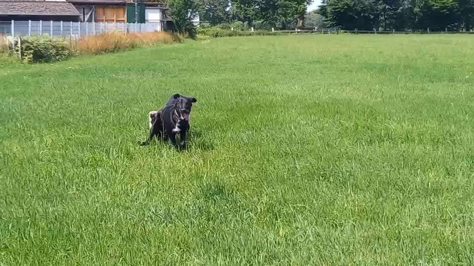 Handyvideochallenge Nr. 26 Gross und Klein-Beitrag-Bild