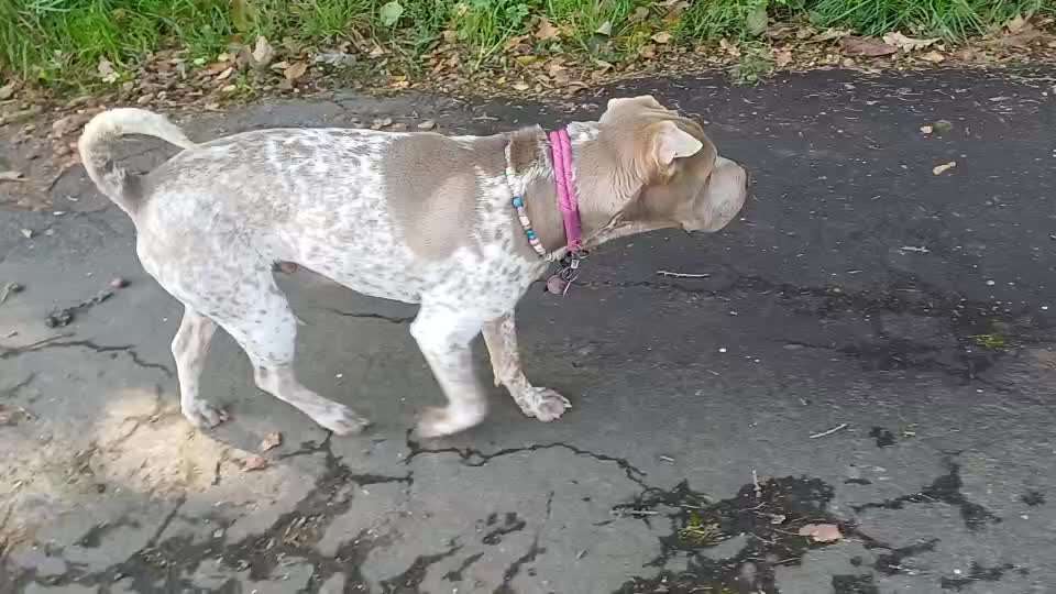 Gangbild/-analyse-Beitrag-Bild