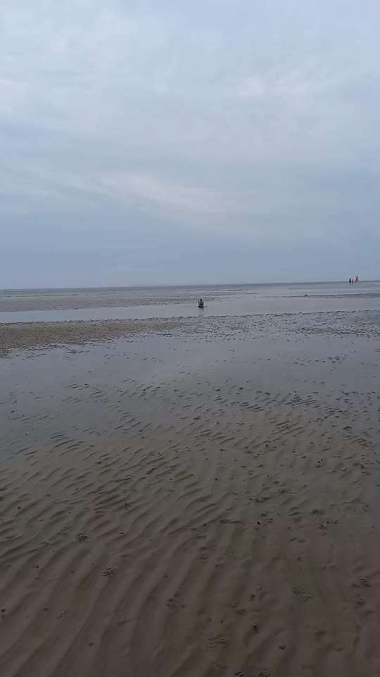 Video Challenge Nr.6
Auf den Spuren der Freiheit🐾🐾-Beitrag-Bild