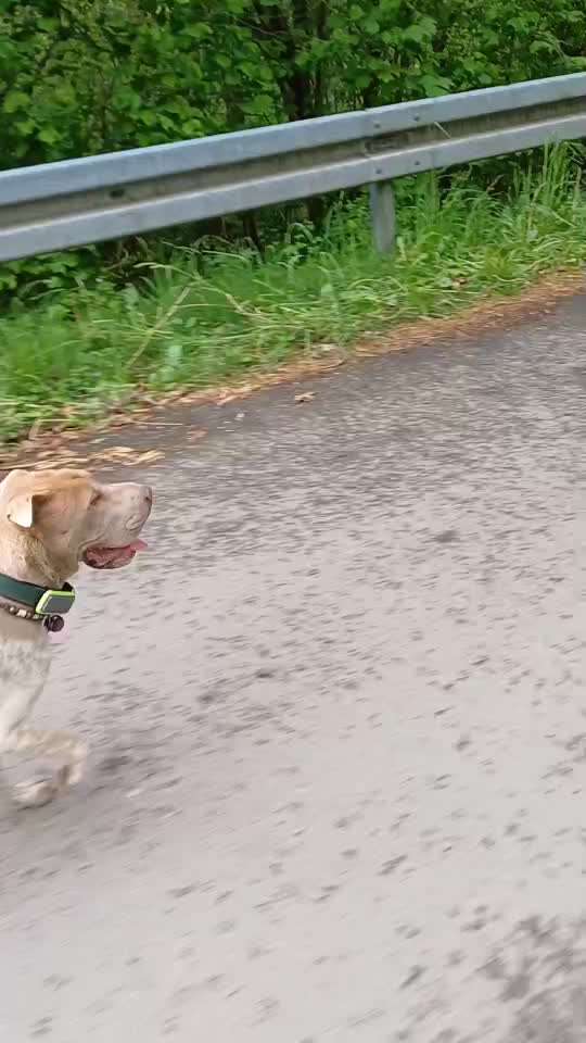 Gangbild/-analyse-Beitrag-Bild