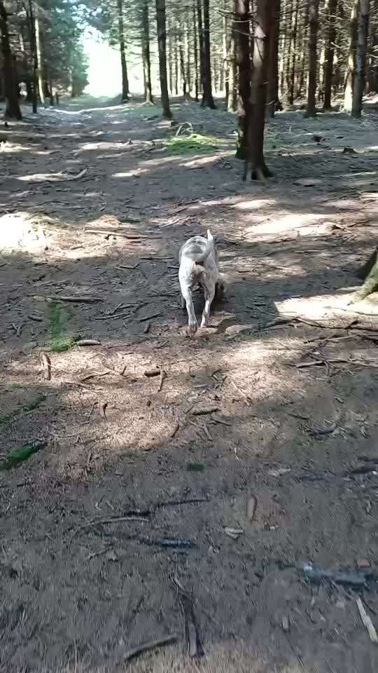 "Wege zur Freundschaft" (Ulli Reichmann)-Beitrag-Bild
