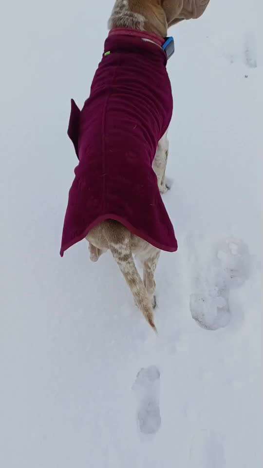 Gangbild/-analyse-Beitrag-Bild