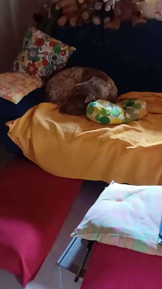 57. impulskontroll Challenge / alleine bleiben-Beitrag-Bild