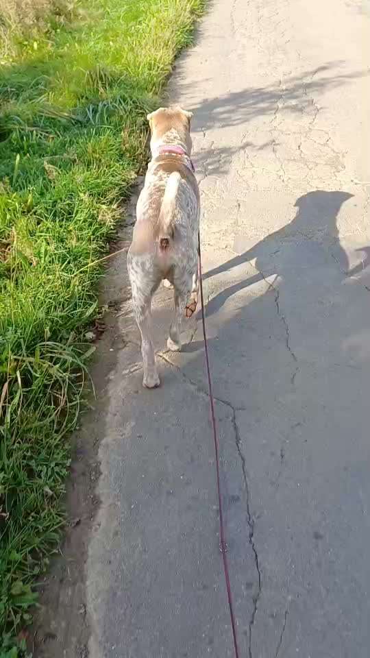 Gangbild/-analyse-Beitrag-Bild