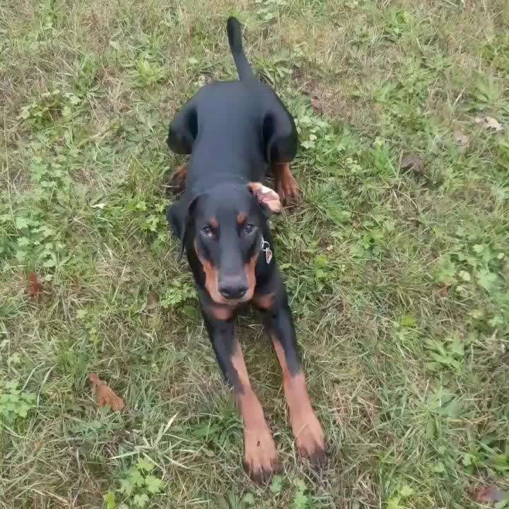 Wann und wie oft füttern?-Beitrag-Bild