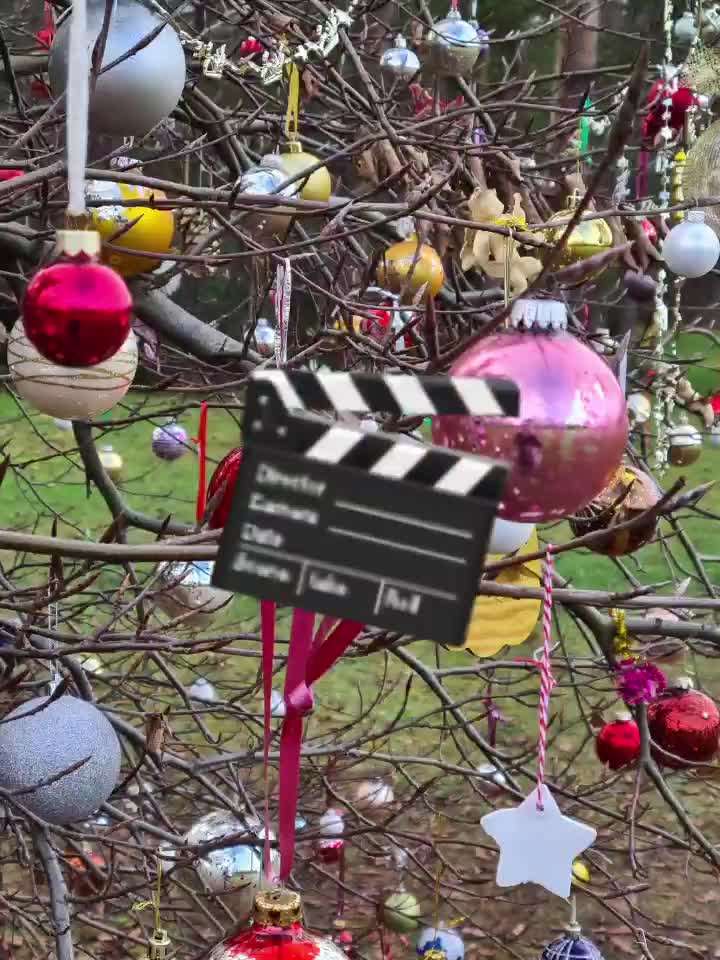 Action-Fun Hund- Aventskalender-Beitrag-Bild