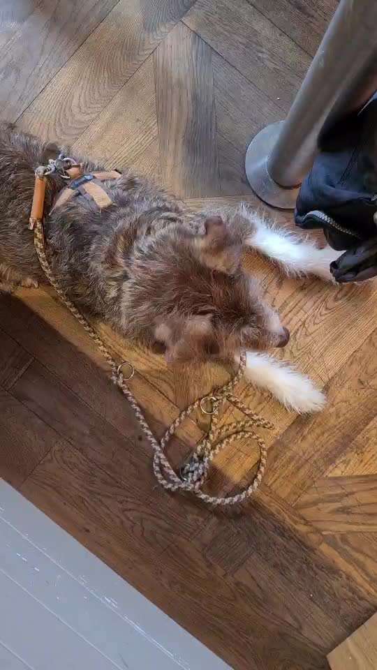 Gemeinsame Impulkontrolle Übung Nr.24-Beitrag-Bild