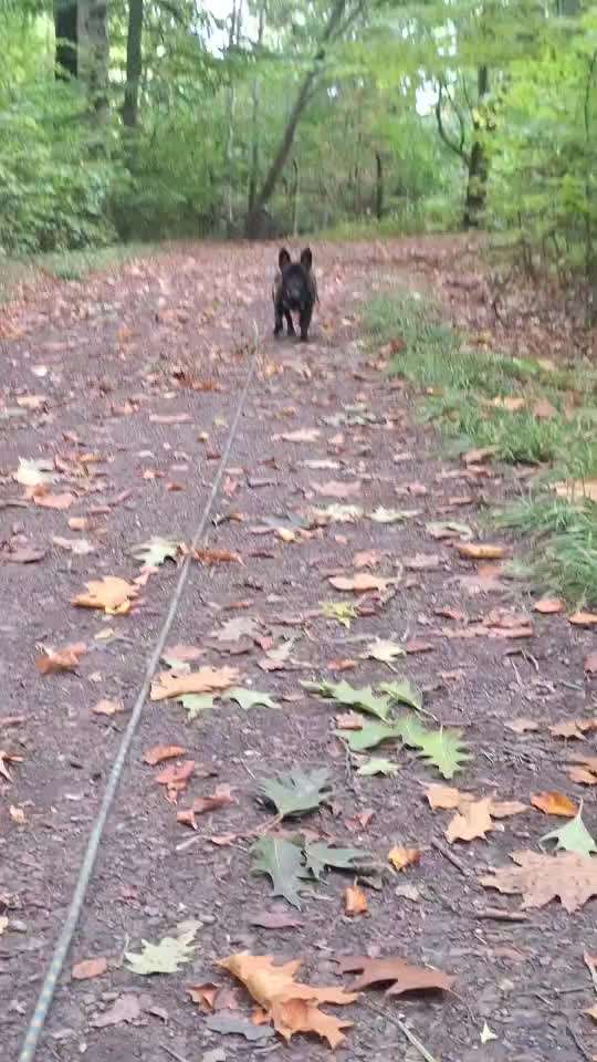 Gangbild/-analyse-Beitrag-Bild