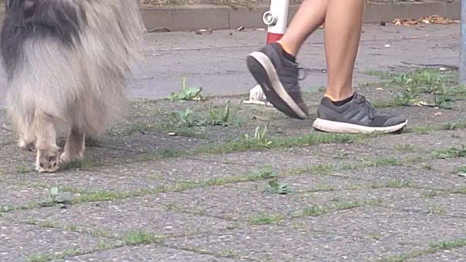 Gangbild/-analyse-Beitrag-Bild