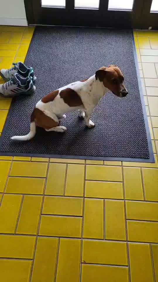 Komisches Atmen. Was kann die Ursache sein?-Beitrag-Bild