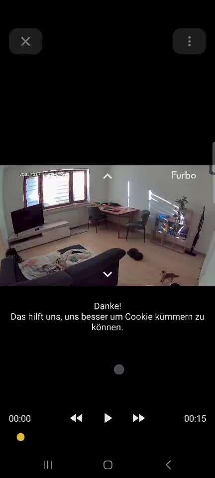 Babywolf-Beitrag-Bild