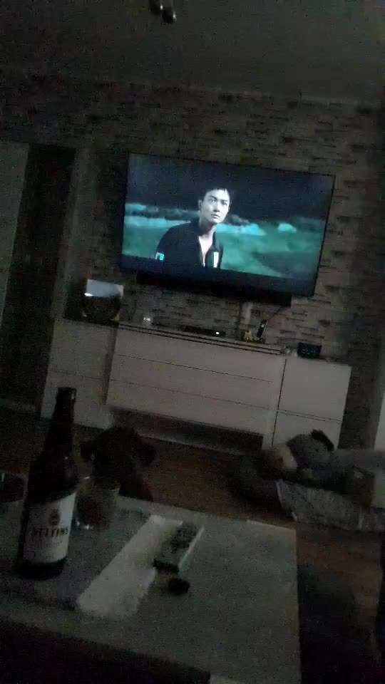 Hunde im Kino – Eure Meinung?-Beitrag-Bild