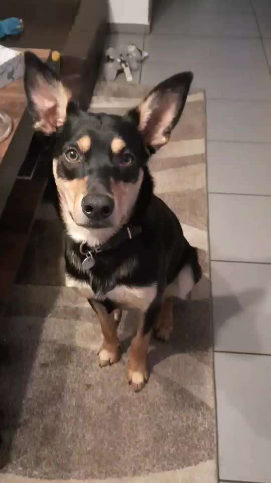 Trick Challange Nr 3-Beitrag-Bild