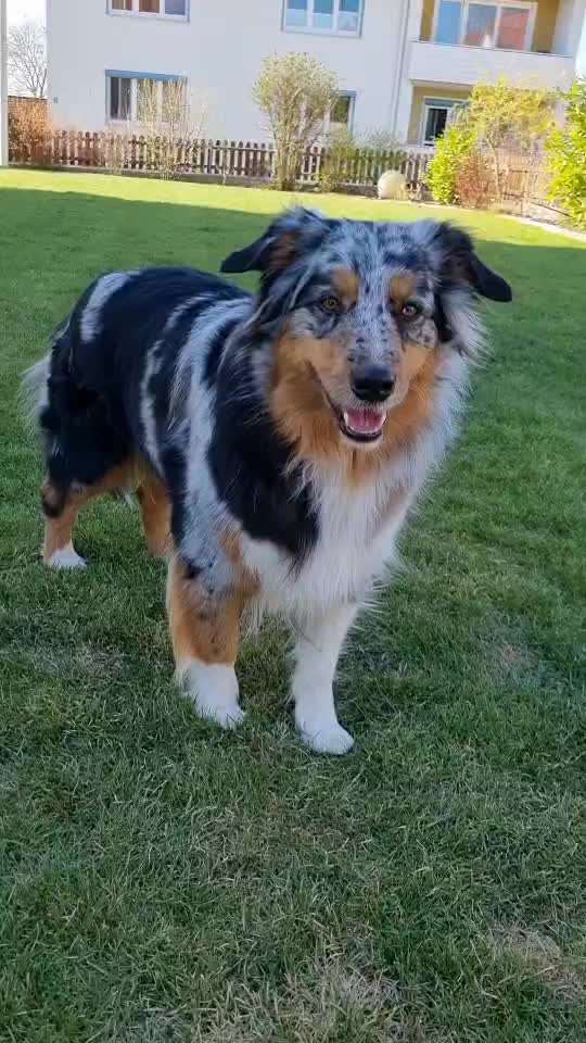 TRICK CHALLENGE NR. 10-Beitrag-Bild