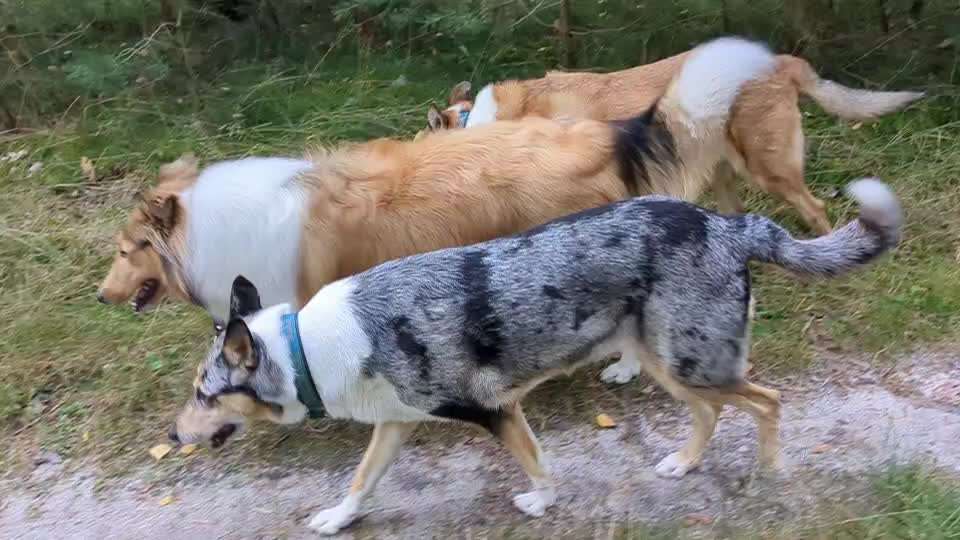 Der Ausreißer-Beitrag-Bild