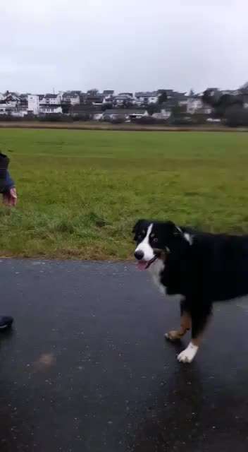 Trick Challange Nr 3-Beitrag-Bild