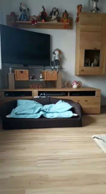 Dogorama Blog Challenge: Hundetricks-Beitrag-Bild