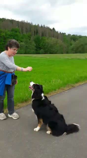 Trick Challenge Nr. 12-Beitrag-Bild