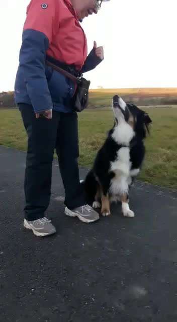 Trick Callange Nr.4-Beitrag-Bild