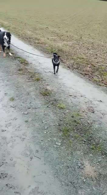 Trick Challenge 13 - Etwas Halten-Beitrag-Bild