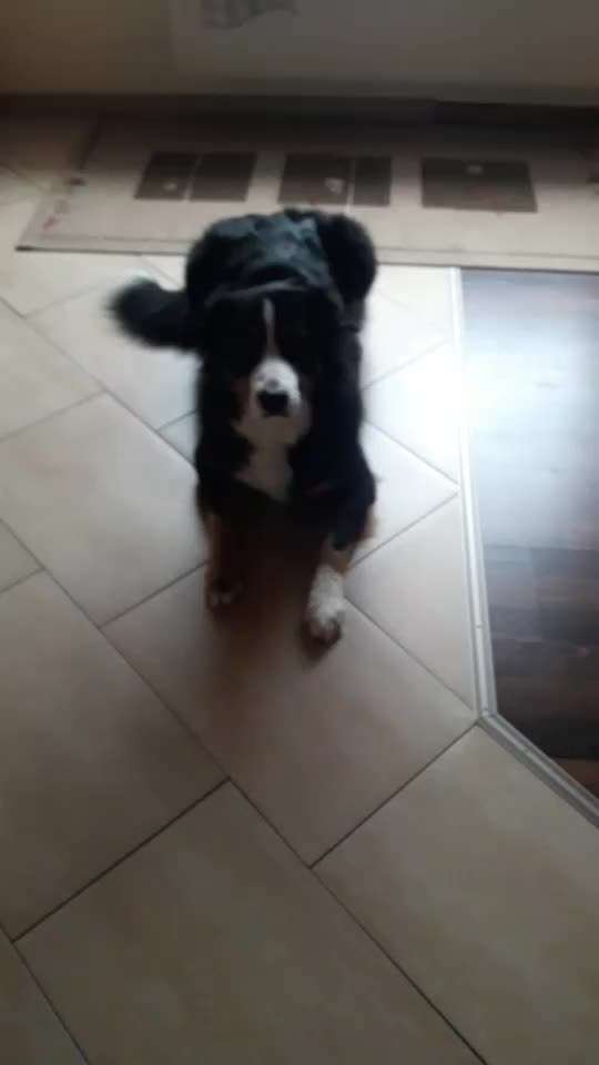 Trick Challenge ABC-Beitrag-Bild